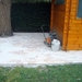 IMG00048_edited