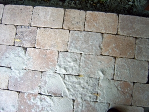 IMG00049_edited