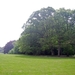 BULSKAMPVELD001_edited