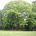 BULSKAMPVELD006_edited