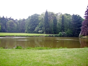 BULSKAMPVELD009_edited