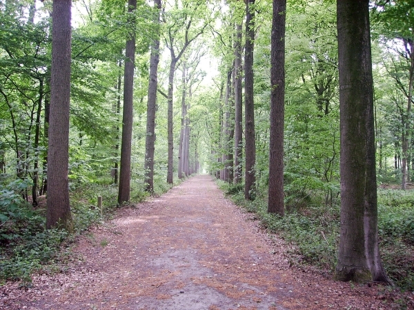 BULSKAMPVELD015_edited