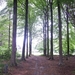 BULSKAMPVELD016_edited
