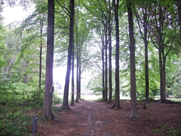 BULSKAMPVELD016_edited