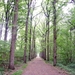 BULSKAMPVELD017_edited