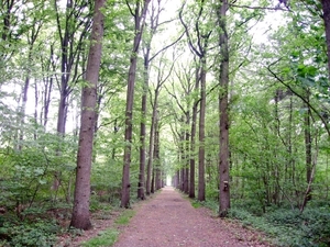 BULSKAMPVELD017_edited