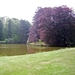 BULSKAMPVELD008_edited-1