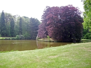 BULSKAMPVELD008_edited-1