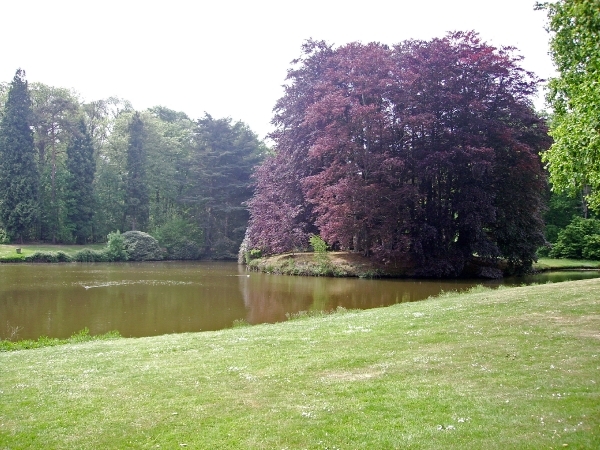 BULSKAMPVELD008_edited-1