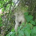 Beeld