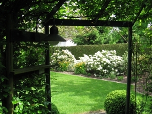 Zicht vanuit prieel op de witte rhodendrons