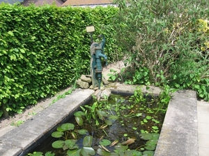 Vijver met waterpomp