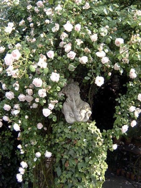 Beeld in rozenboog New Down