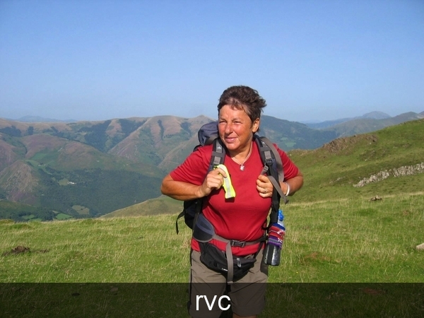 camino; pyrenee�n; trekking; compostela; riet
