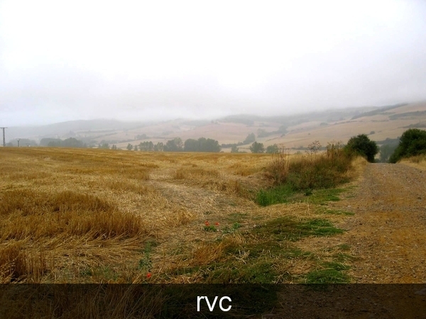 Graanvelden en heuvels, gelukkig soms bewolkt