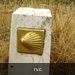 Sint-jacobsschelpen in variaties