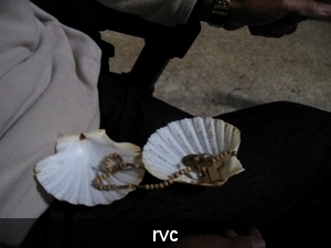 in de kathedraal , met een vraag van velen die het ons vroegen