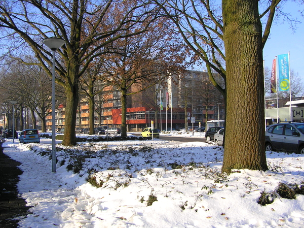 dec 2010 176