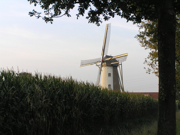 sept 2011 212