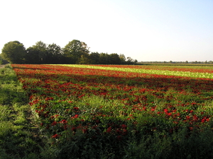 sept 2011 235