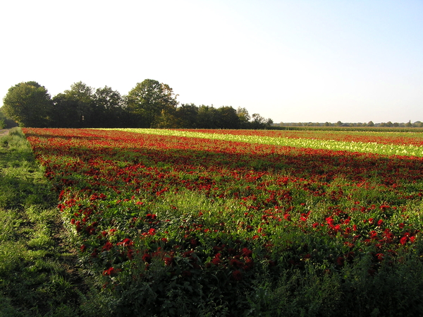 sept 2011 235