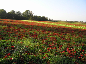 sept 2011 240
