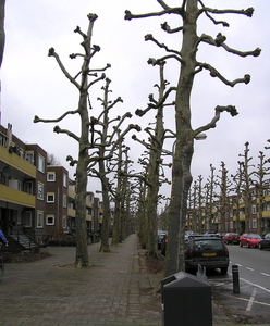 feb 2012 031