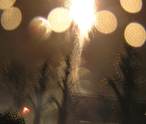 P1010052