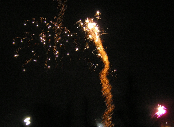 P1010021