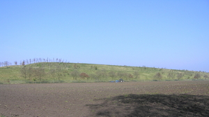 P3100003