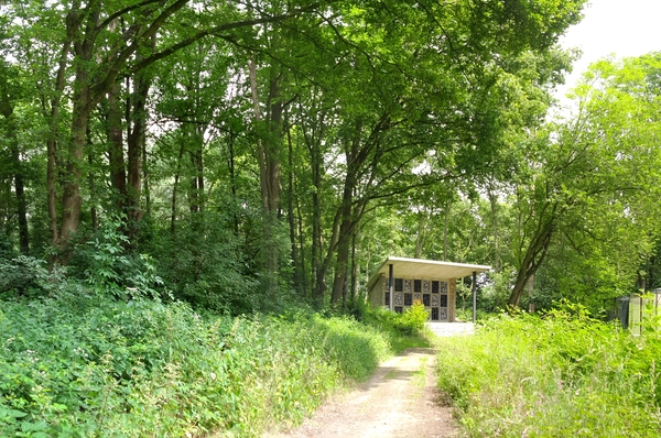 PANO_20140619_140949