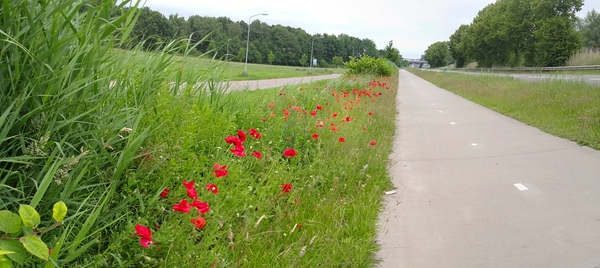 PANO_20140619_143415