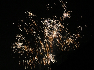 P1010012