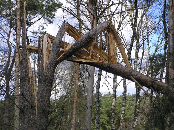P4050005