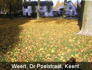 PA310014