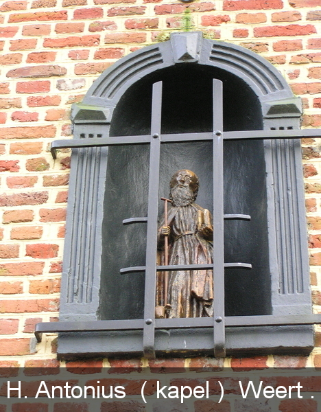 P1010004