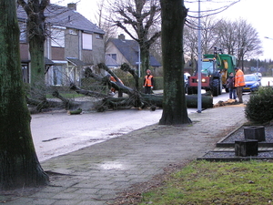 P1010003 (2)
