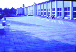 P1010013
