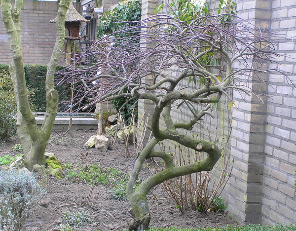 P3240008
