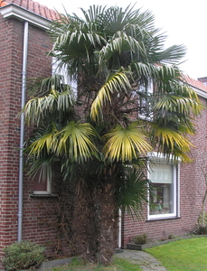 P3240011