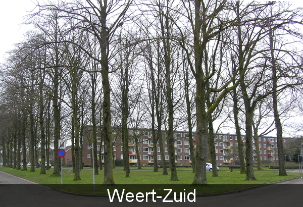 P3240014