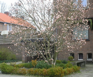 P3240016