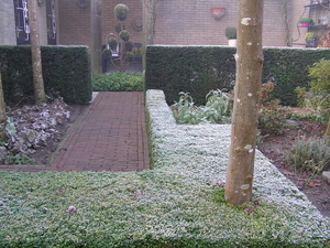 PC030010