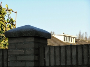 PC040008