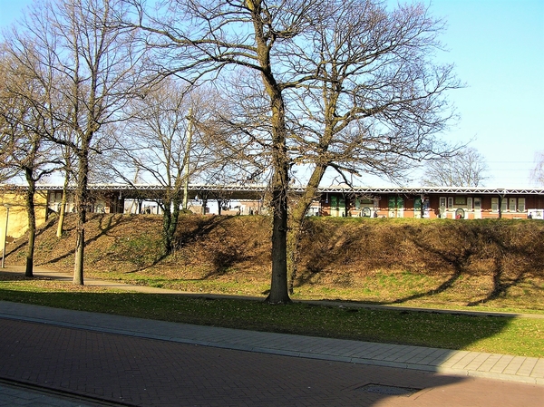 P2140002 (1)