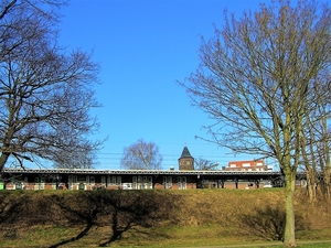 P2140003 (1)
