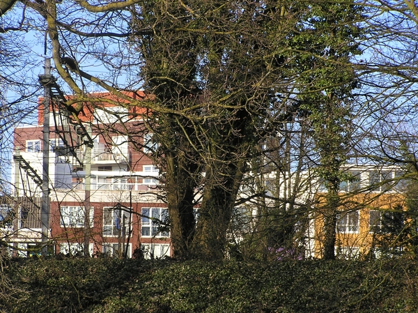 P2140017