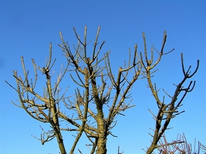 P2140001