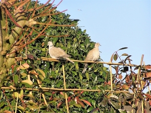 P2150010