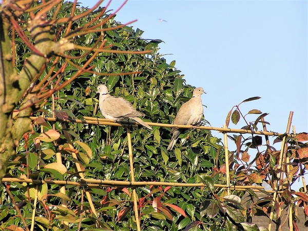 P2150010